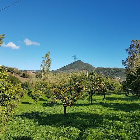 Villa immersa nel verde a pochi minuti dal mare Jerzu Esterno foto