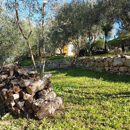 Villa immersa nel verde a pochi minuti dal mare Jerzu Esterno foto