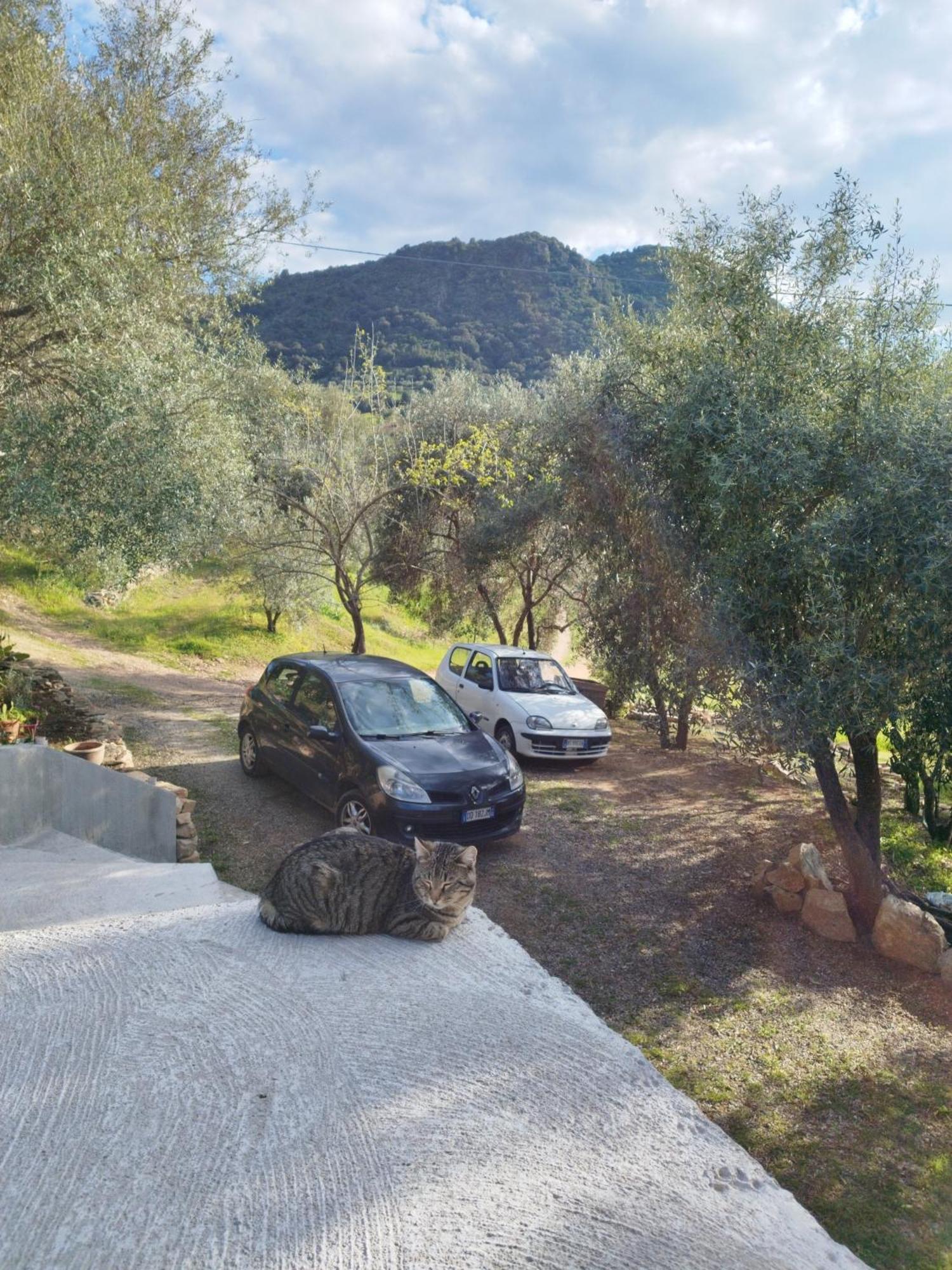 Villa immersa nel verde a pochi minuti dal mare Jerzu Esterno foto