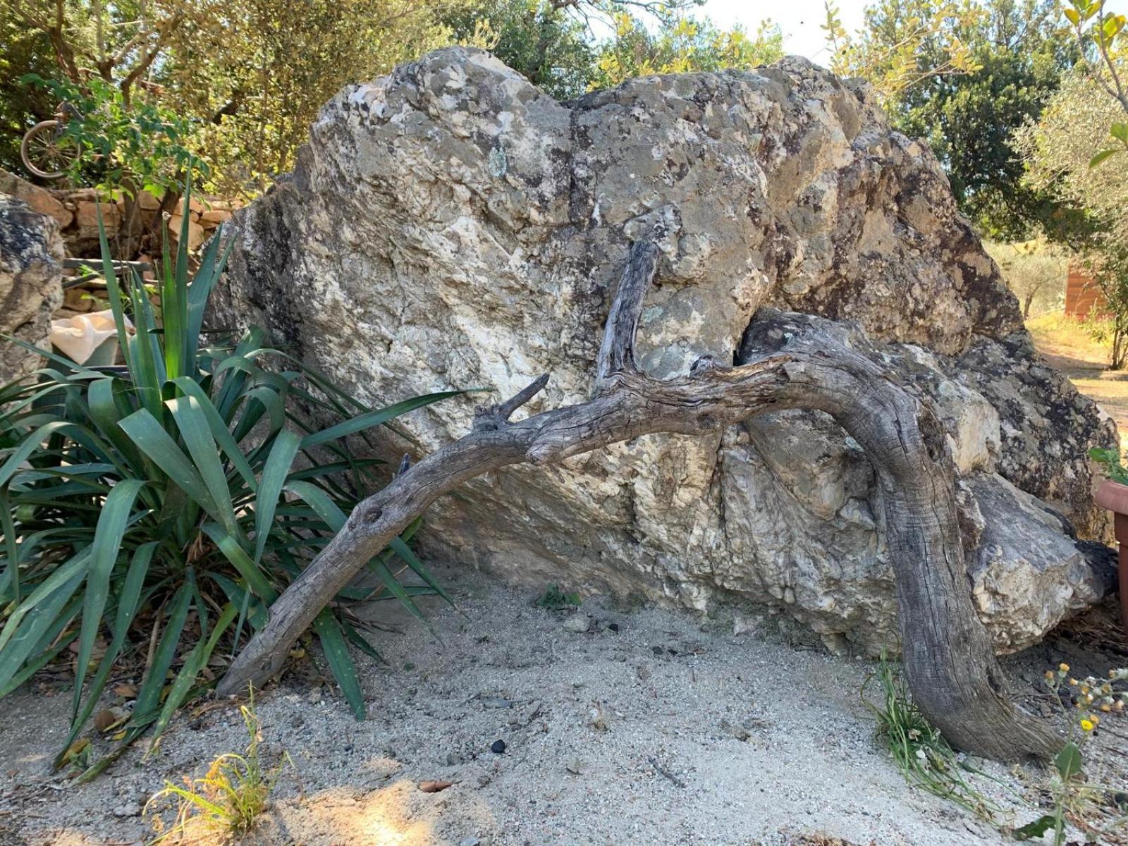 Villa immersa nel verde a pochi minuti dal mare Jerzu Esterno foto