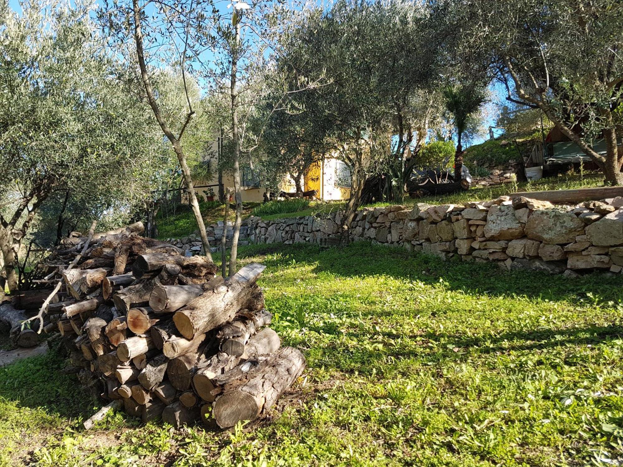 Villa immersa nel verde a pochi minuti dal mare Jerzu Esterno foto